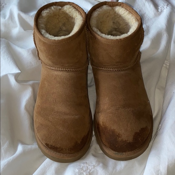 low cut ugg boots